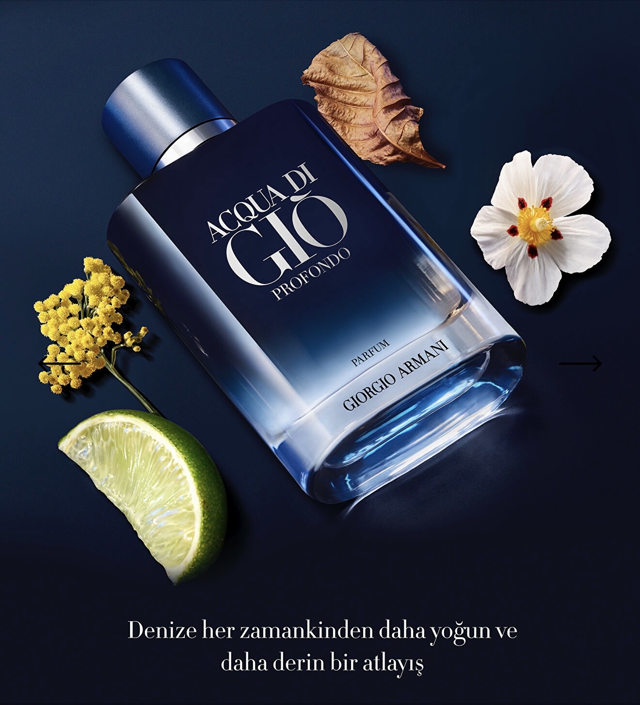 Armani Acqua Di Gio - Profondo Parfum - Görsel 2