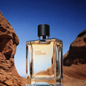 Alternative view of Hermes - Terre d'hermes EDT