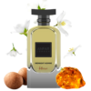 ANFAR 1950 Midnight Homme Intense erkek parfüm şişesi